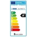 TESLA LED žárovka FILAMENT RETRO GLOBE/ E27/ 8W/ 230V/ 1055lm/ 2700K/ teplá bílá/ čirá