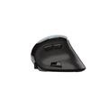 TRUST VOXX ERGONOMIC RECHARGEABLE MOUSE