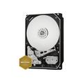 Pevný disk WD Gold 2TB