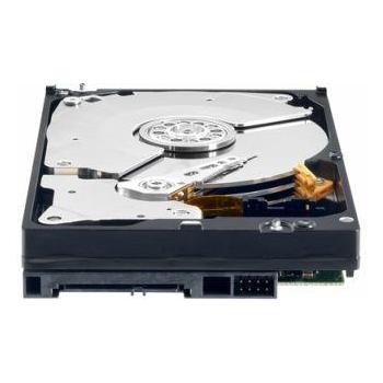 Pevný disk WESTERN DIGITAL Caviar RAID Edition3 1TB