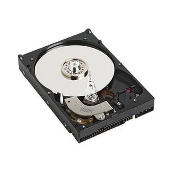 Pevný disk WESTERN DIGITAL AV 500GB