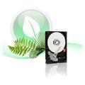 Pevný disk WESTERN DIGITAL Caviar Green 640GB