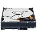 Pevný disk WESTERN DIGITAL Caviar RAID Edition4 1.5TB