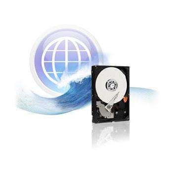Pevný disk WESTERN DIGITAL Caviar Blue 1TB
