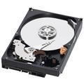 Pevný disk WESTERN DIGITAL Caviar Black 1TB