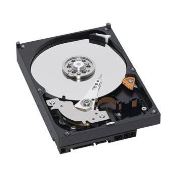 Pevný disk WESTERN DIGITAL Caviar AV Green 1TB