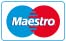 Logo Maestro