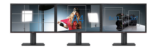 24 LCD monitor ASUS PA248Q černý black