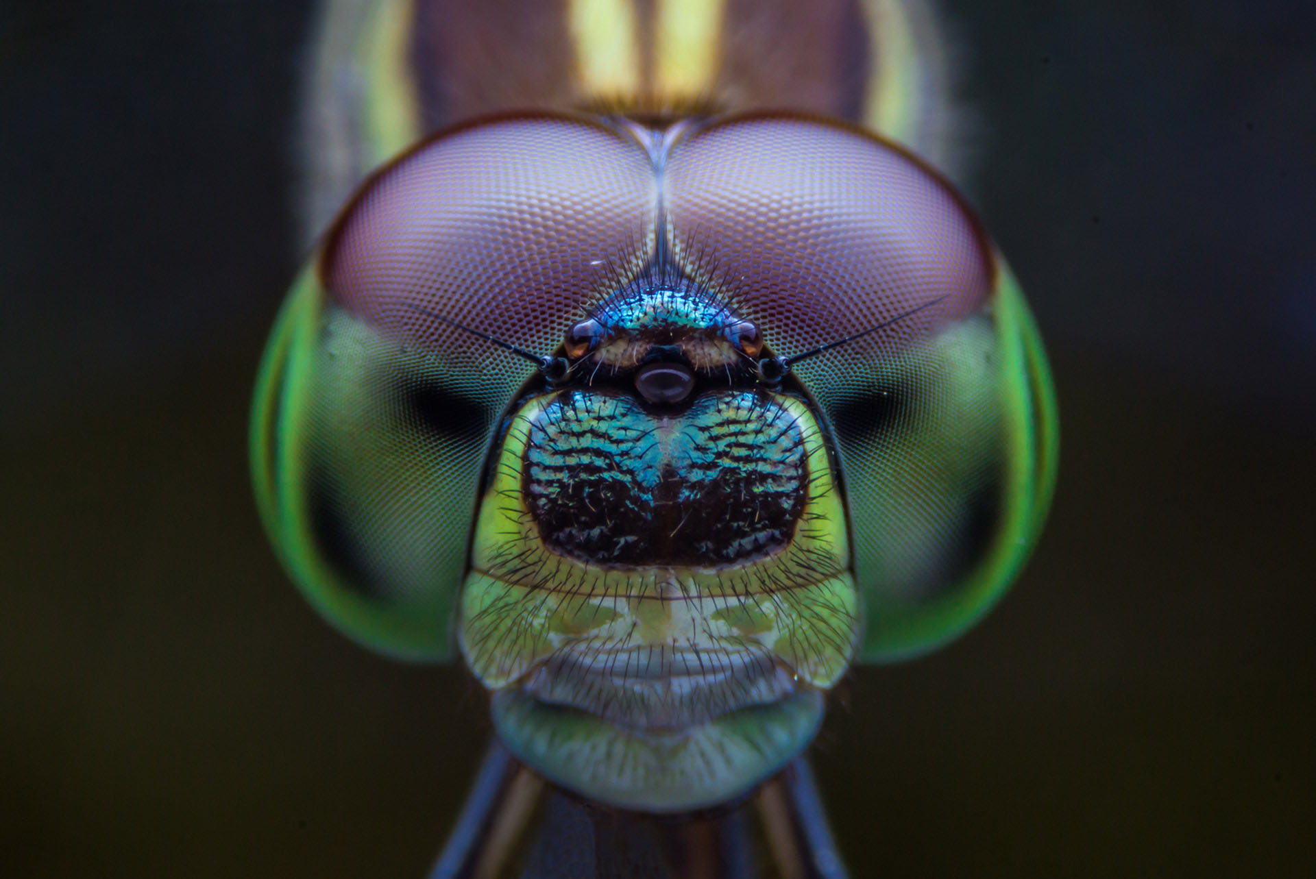 Projektor ACER DLP S1386WH bílý white