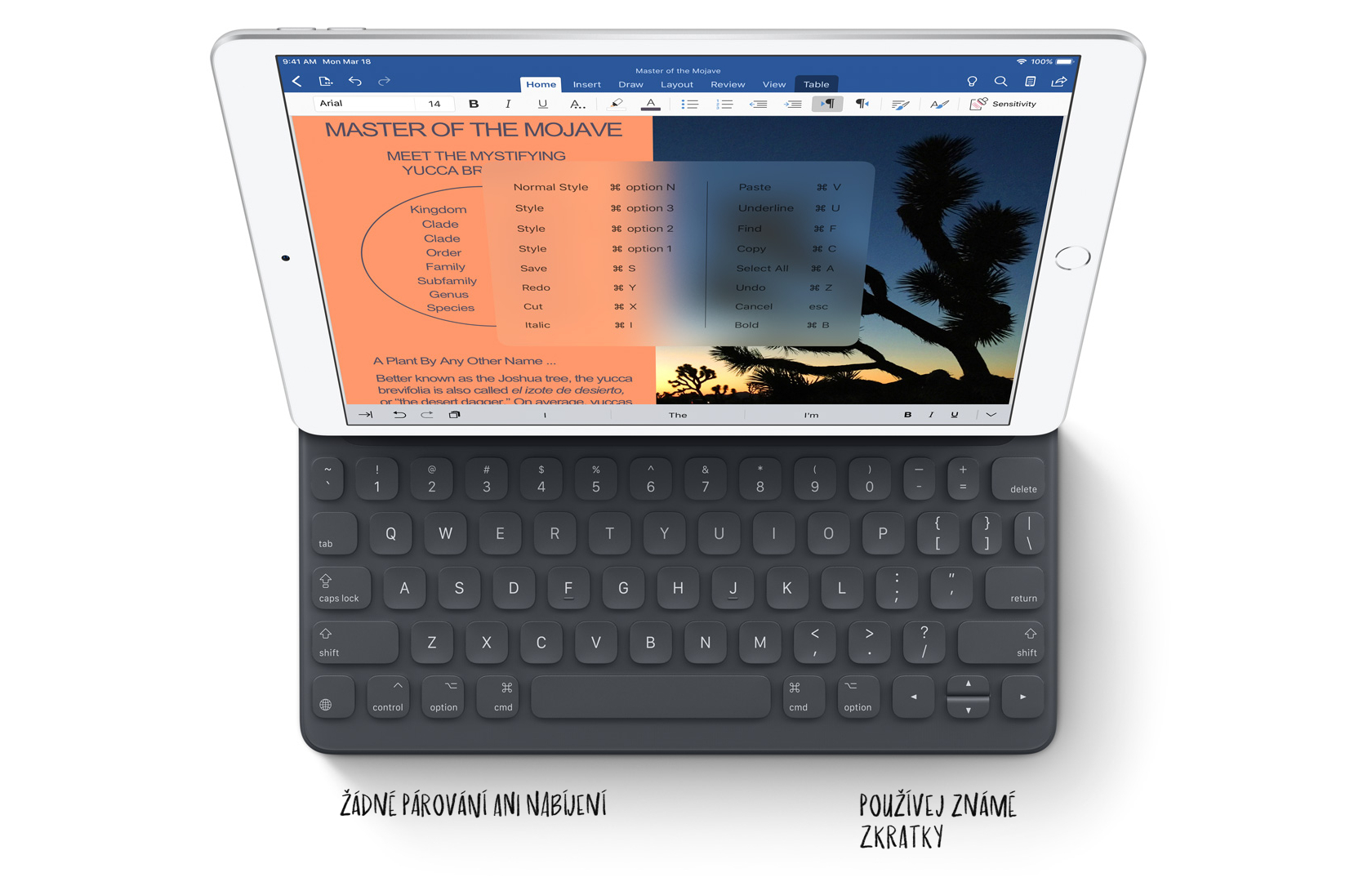 Tablet APPLE iPad Air WiFi + Cellular 256GB šedý gray