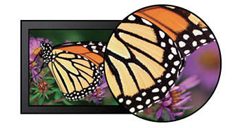 24 LED dotykový monitor PHILIPS 24'' LED 242B9T  FHD černý black