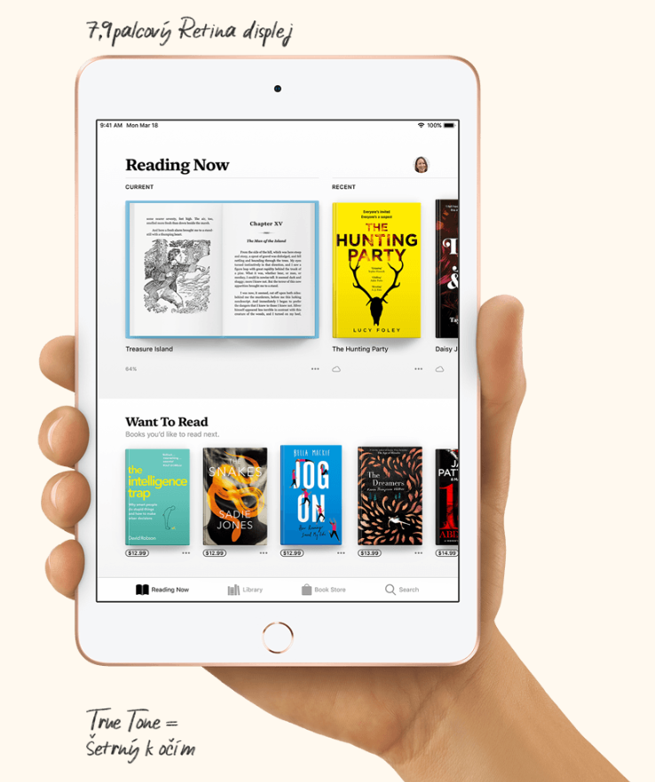Tablet APPLE iPad mini WiFi 256GB šedý gray