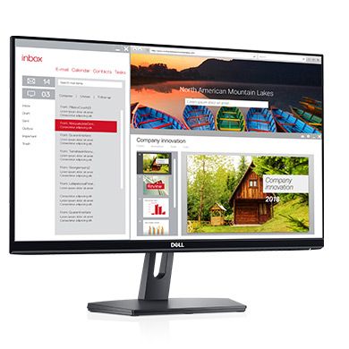 24 LED monitor DELL 24 LCD SE2419H FHD černý black
