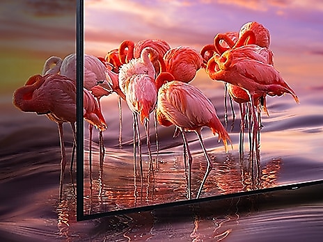 55 QLED 4K TV SAMSUNG QE55Q60R černá black