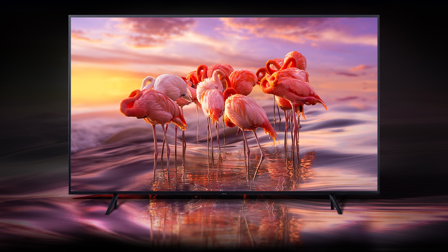 55 QLED 4K TV SAMSUNG QE55Q60R černá black