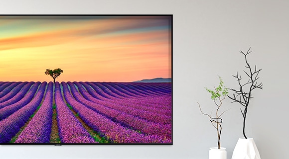 55 QLED 4K TV SAMSUNG QE55Q60R černá black