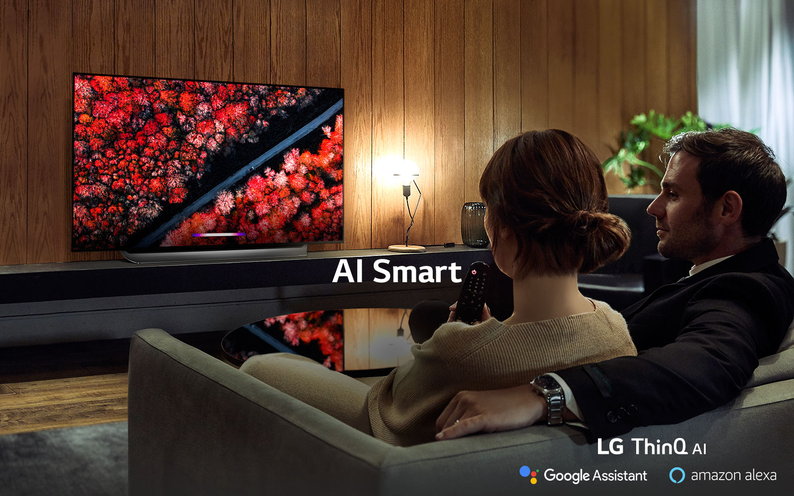 65 LED TV LG OLED65C9PLA