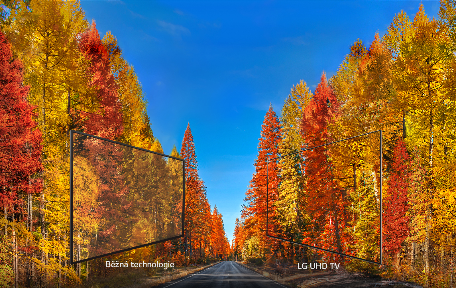 55 LED TV LG 55UK6750