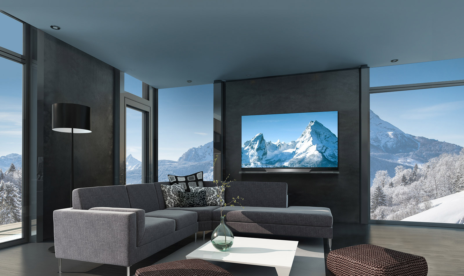 55 LED TV LG OLED55E8