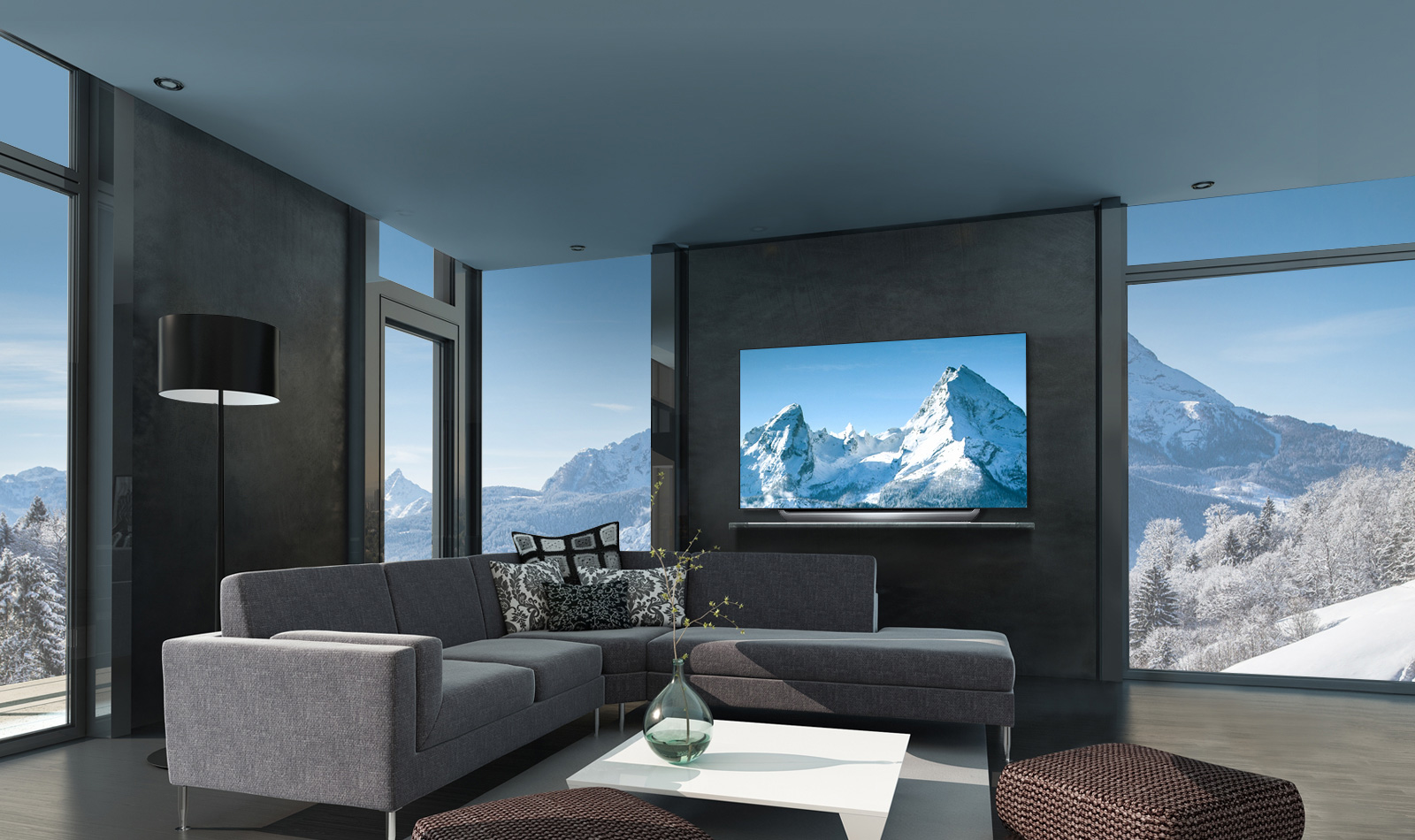 65 LED TV LG OLED65C8