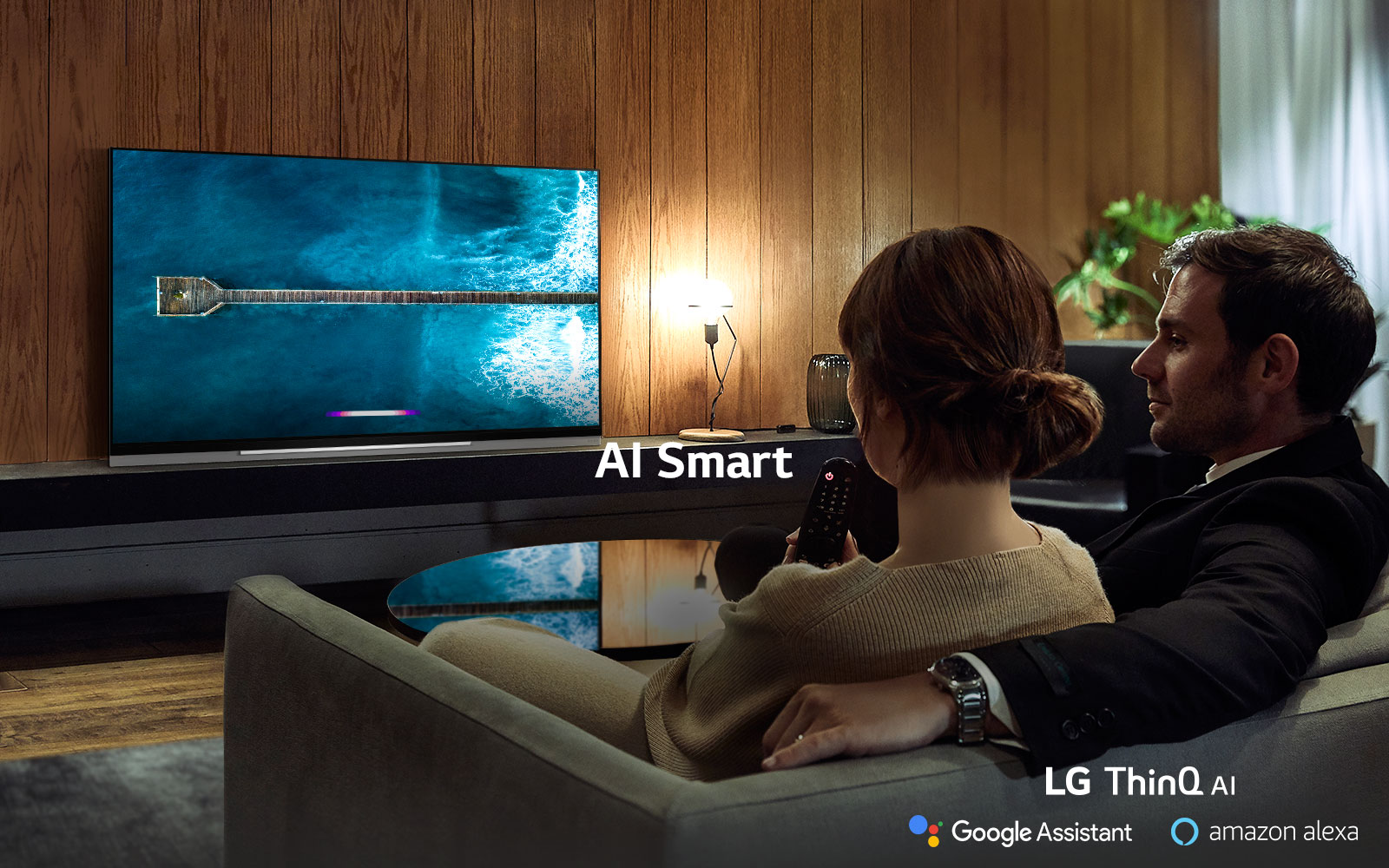 65 LED TV LG OLED65E9
