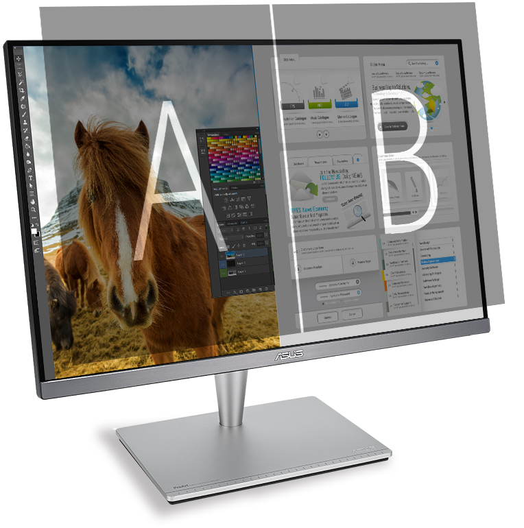 24 LED monitor ASUS PA24AC