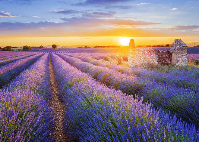 156 LCD monitor ASUS MB16AHP černý black