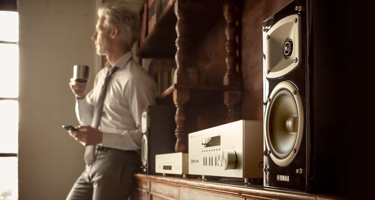 AV receiver YAMAHA RN303D stříbný silver