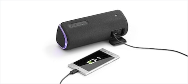 Přenosné reproduktory SONY SRSXB31 černý black