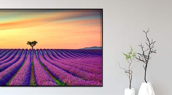 65 LED TV SAMSUNG QE65Q85R