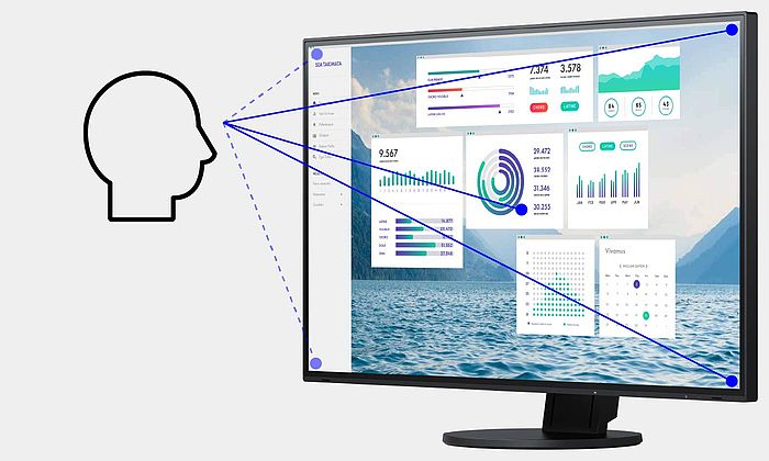 23 LED monitor EIZO 24 LED EV2460 černý black