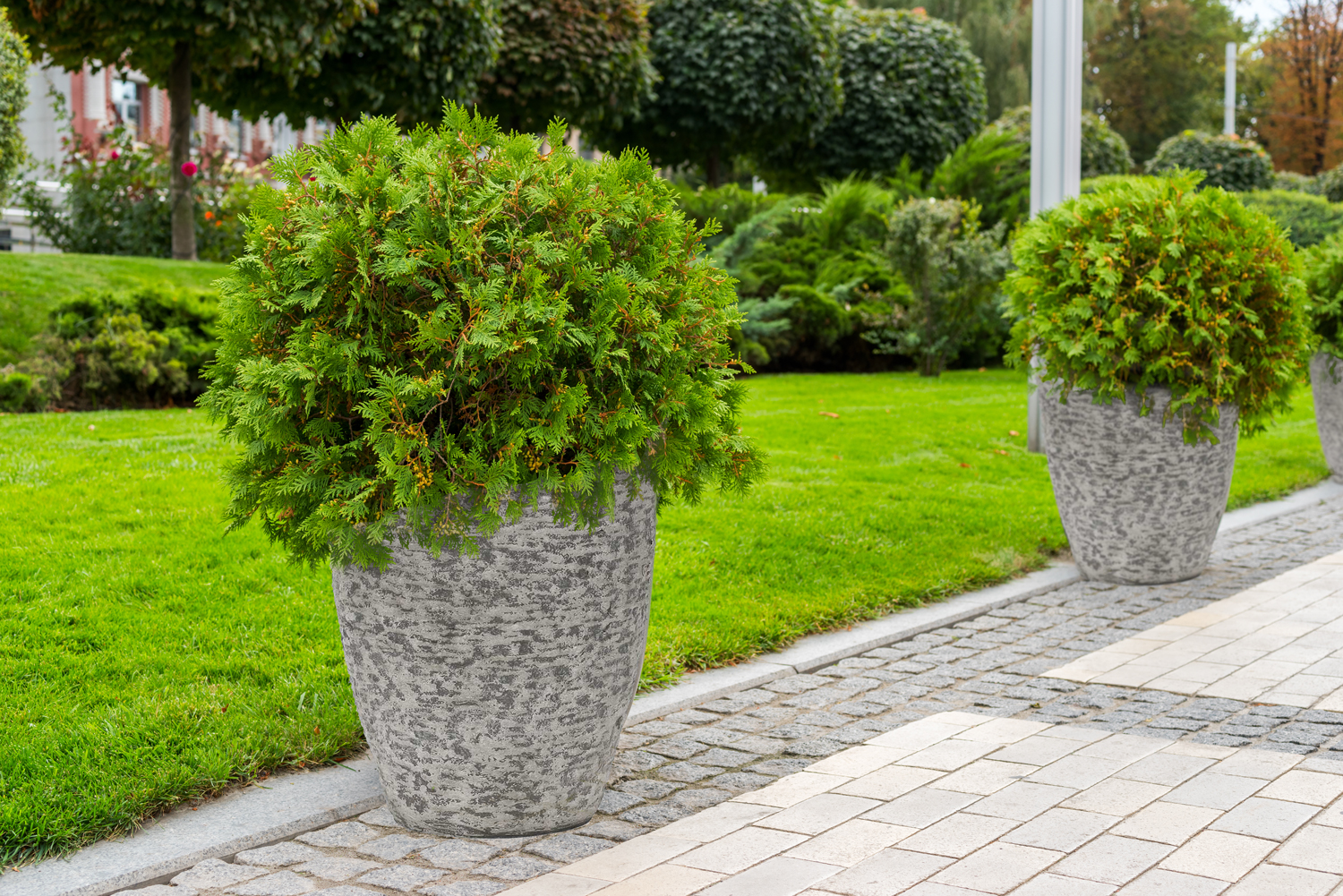 Květináč G21 Natur Plump