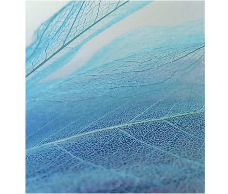 Mobilní telefon XIAOMI Redmi Note 10 5G 4GB64GB stříbrná silver