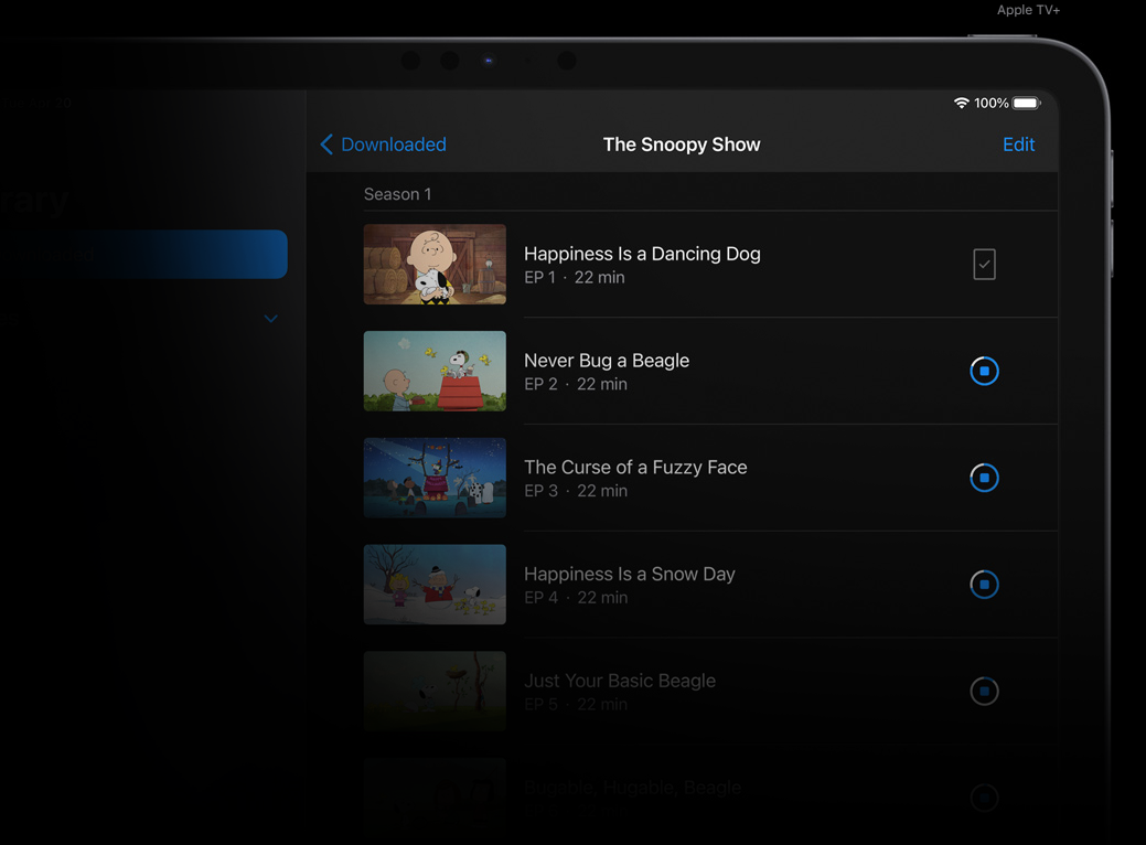 Tablet APPLE iPad Pro 11 WiFi + Cellular 256GB 2021 stříbrný silver