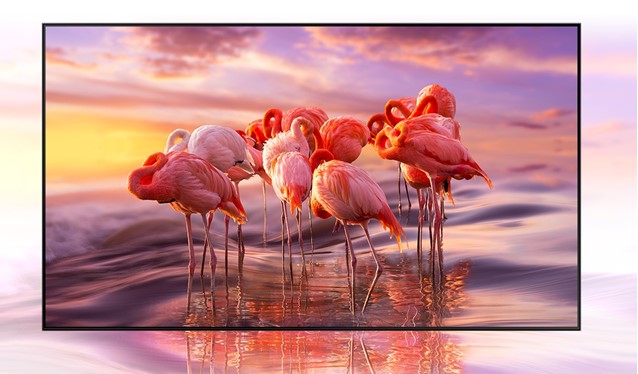 65 QLED TV SAMSUNG QE65Q67A