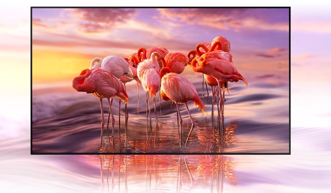 75 QLED TV SAMSUNG QE75Q67A