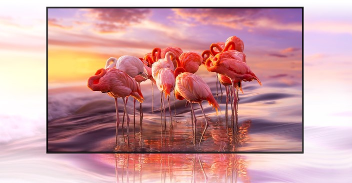 55 QLED TV SAMSUNG QE55Q67A