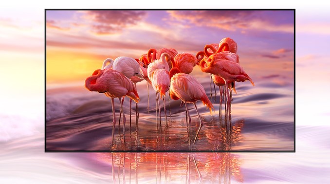 50 QLED TV SAMSUNG QE50Q67A