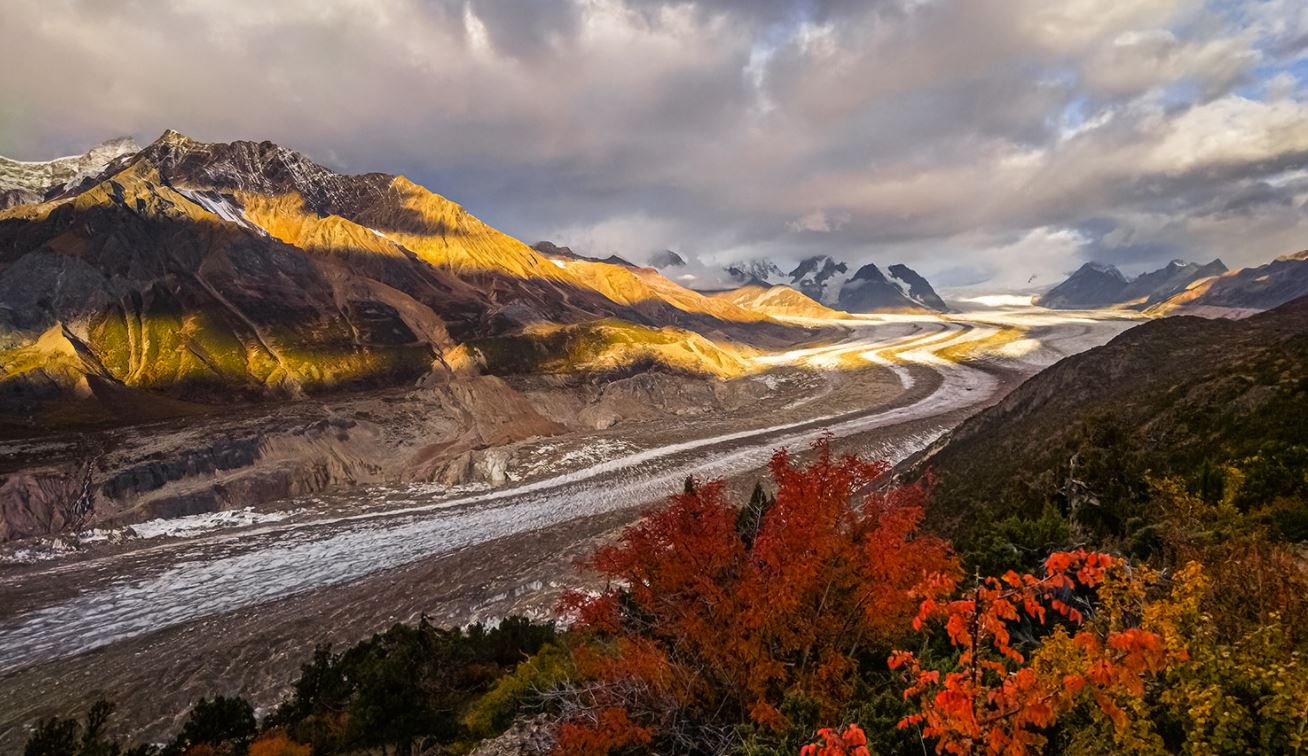 Mobilní telefon HONOR 50 lite 6128GB černý