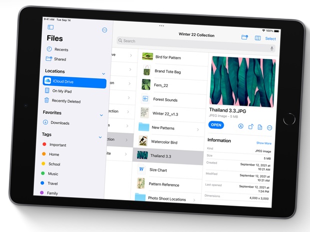Tablet APPLE iPad WiFi + Cellular 256GB stříbrný silver