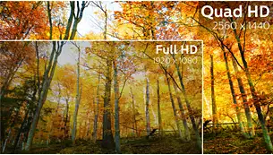 Philips325B1L315''''IPSQHD75Hz4msBlack3R