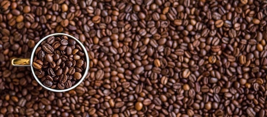 Pákové espresso GAGGIA New Classic Plus Evo