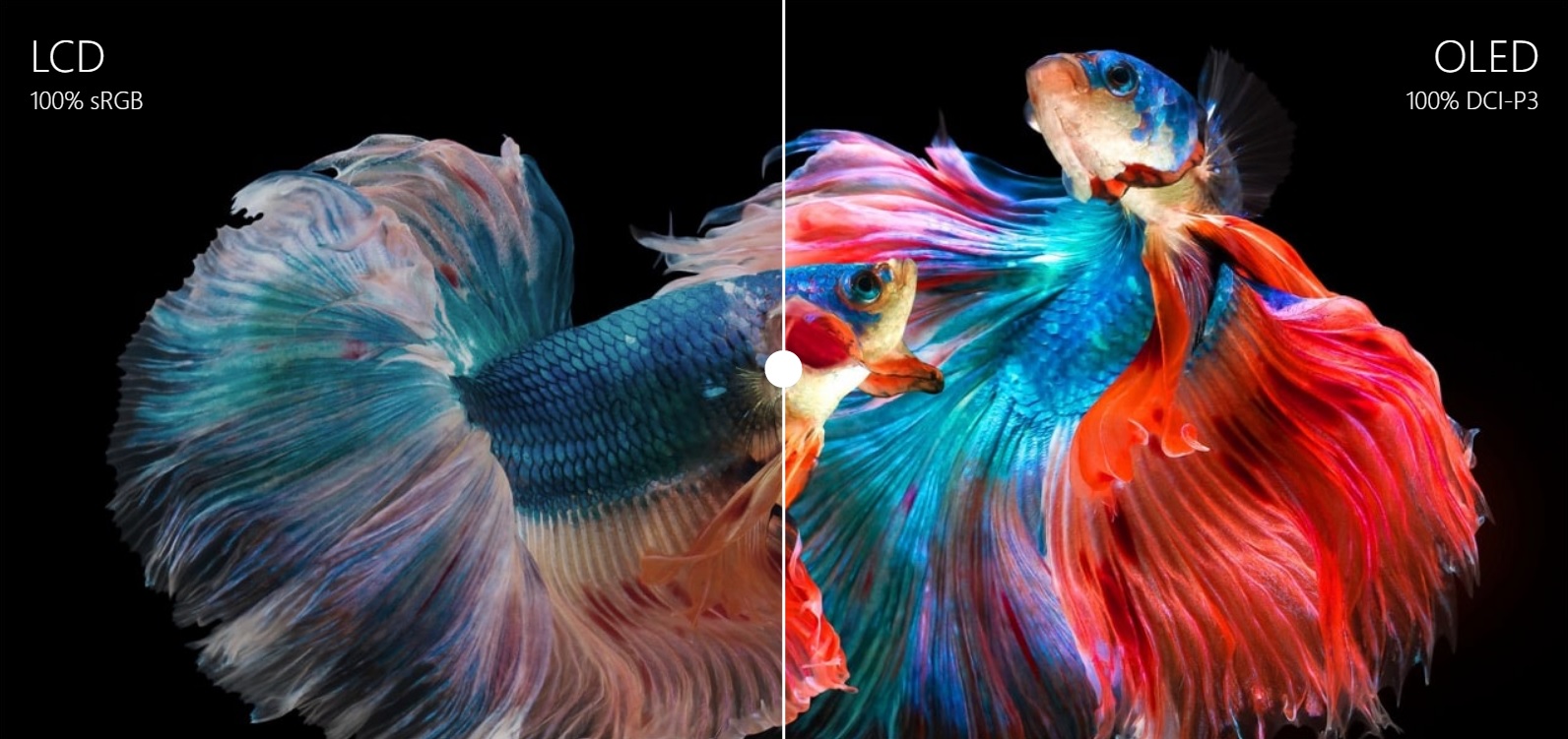 Notebook ASUS Zenbook 14 OLED modrý blue