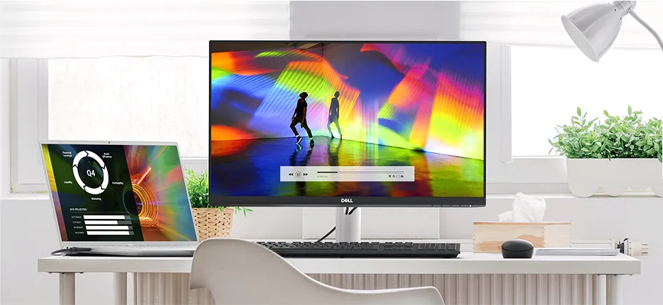 24 LED monitor DELL S2421HN