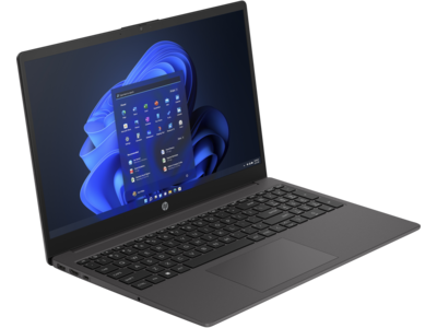 Notebook HP 250 G10 i51335U 156 šedý gray