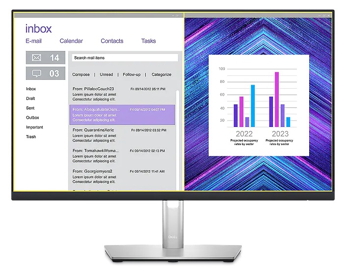 LED monitor DELL 24 LCD P2423DE