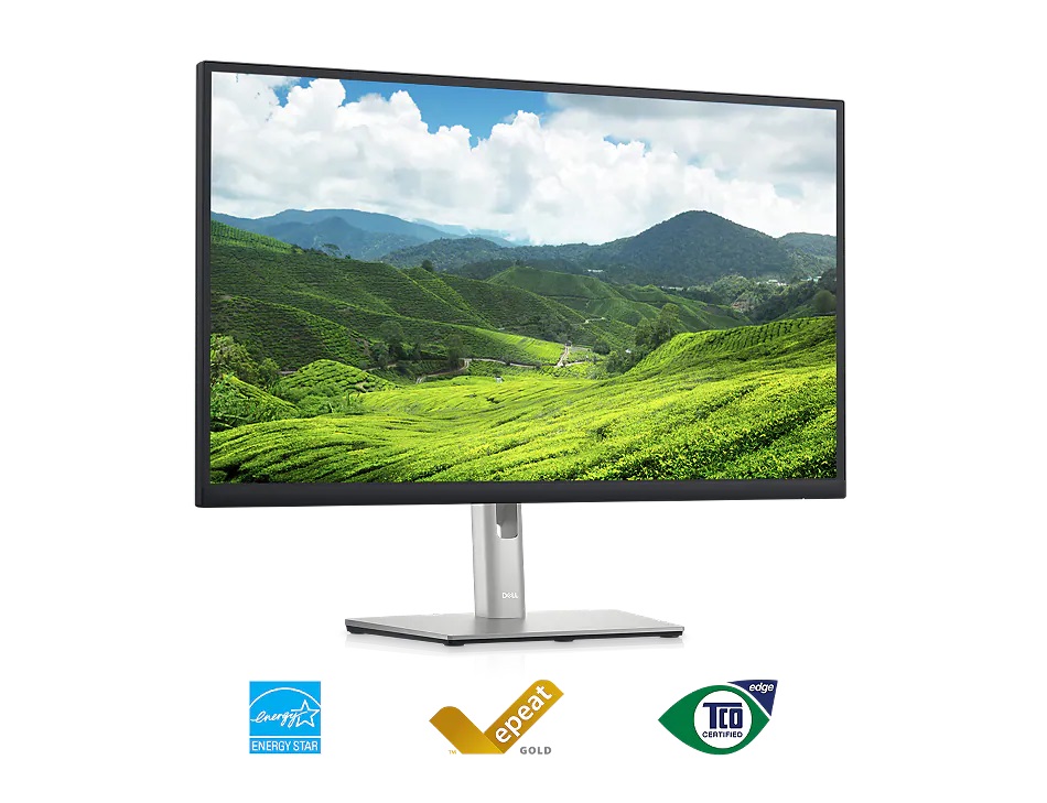 LED monitor DELL 24 LCD P2423DE