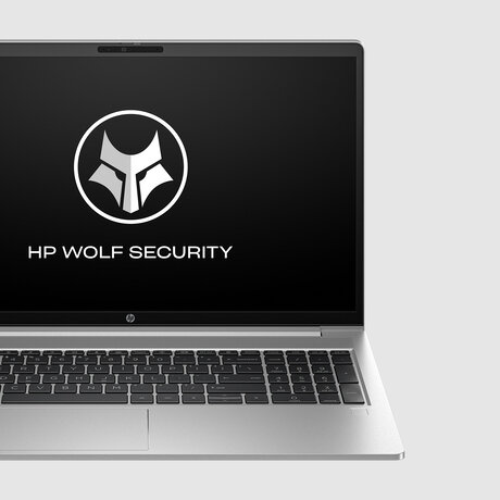 Herní notebook HP ProBook 450 G10 i51335U stříbný silver