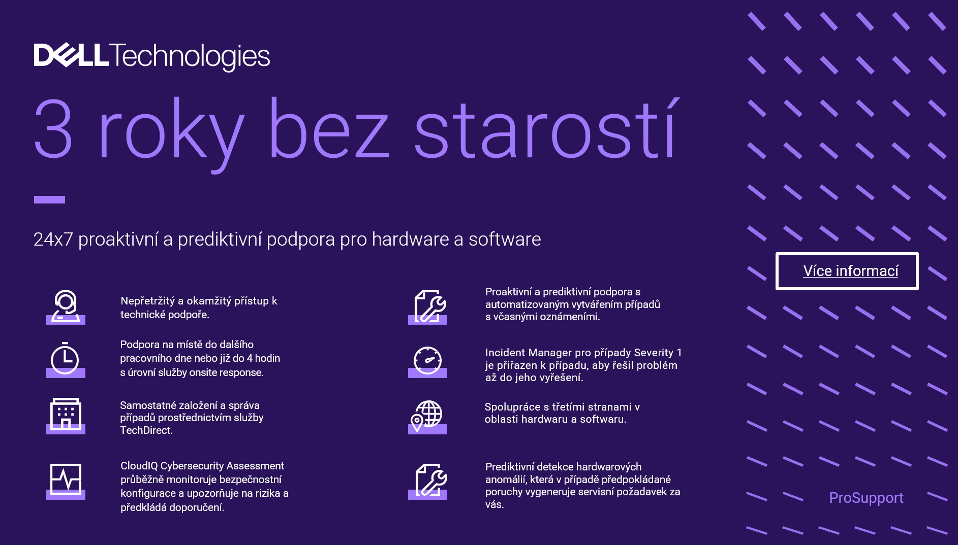DELL PowerEdge T160 Xeon E2414 16GB 2x 2TB RAID 1 2x GLAN iDRAC 9 Ent 16G 3Y PS NBD onsite