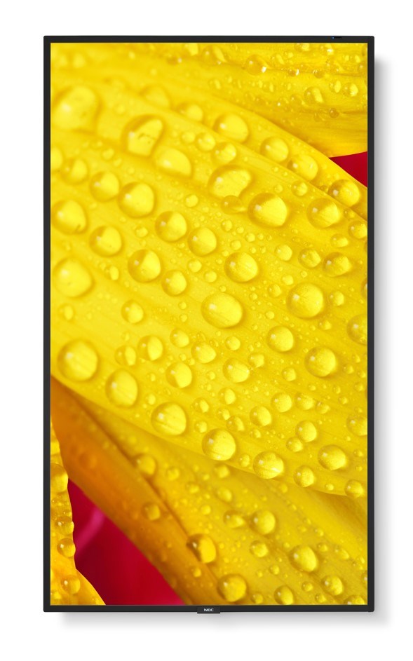 NEC LFD 55 MultiSync ME551 IPS 3840x2160 400nit 80001 8ms 187 DP HDMI LAN USB Mediapla